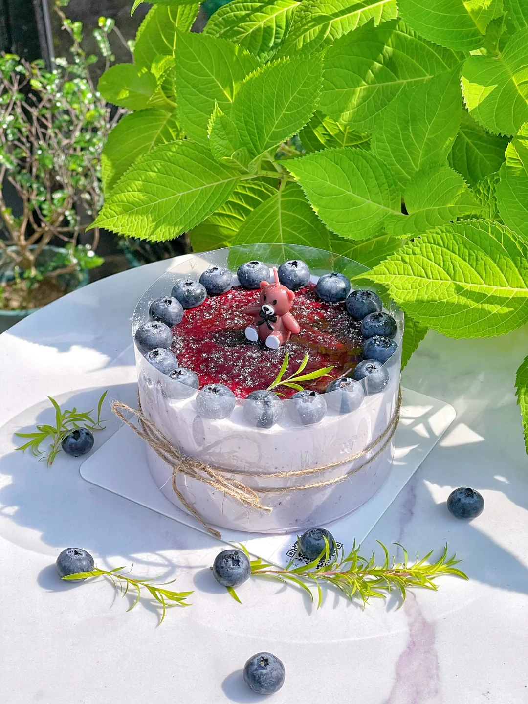 春日缤纷简约鲜果蛋糕C款