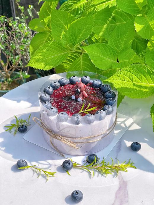 春日缤纷简约鲜果蛋糕C款 商品图0