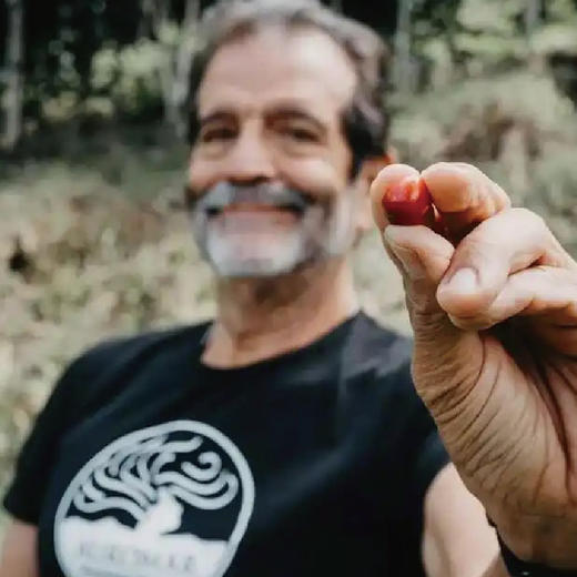 巴拿马极光庄园卡塔丽娜绿顶瑰夏日晒手冲咖啡豆 商品图2