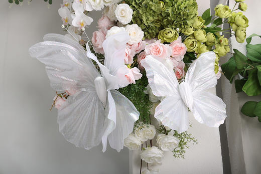 荧光蝴蝶3件套（运费自理） 商品图2