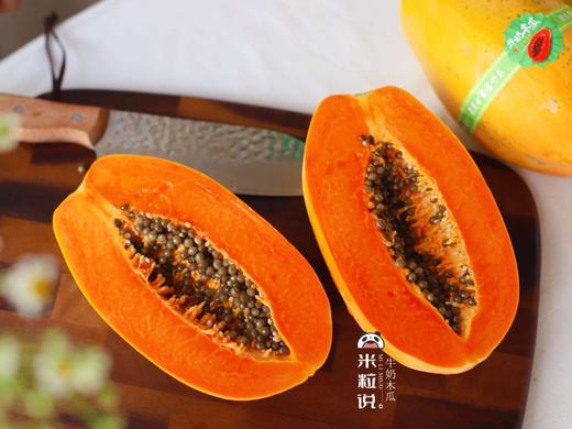 【分仓直发包邮】牛奶木瓜5斤礼盒装(2-5个) 商品图1