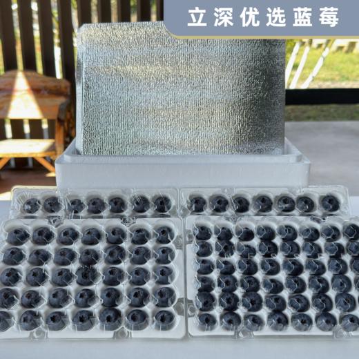 立深优选 蓝莓 商品图2