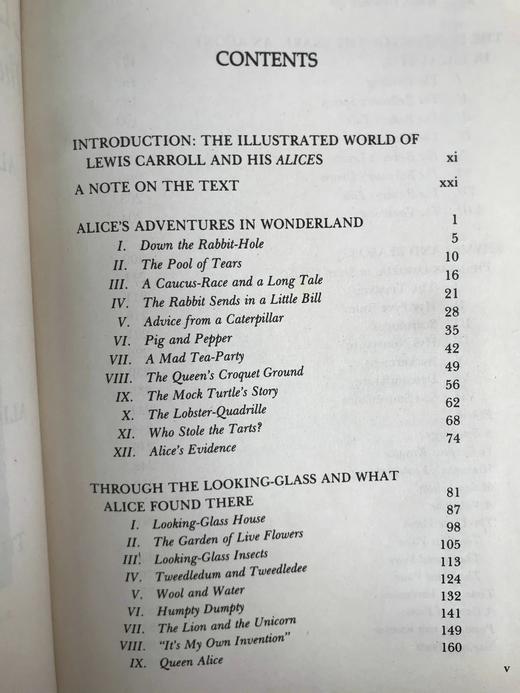 刘易斯·卡罗尔全集 数百幅插图 精装大32开 商品图5
