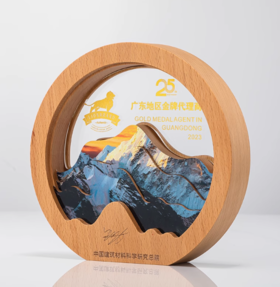 创意水晶奖杯定制实木质奖牌定做年会比赛冠军团队颁奖免费刻字