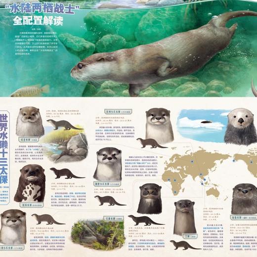 《博物》 自然人文综合知识类杂志 已更新至2025年十二月刊（第12期）《中国国家地理》青春版 科普百科 商品图2