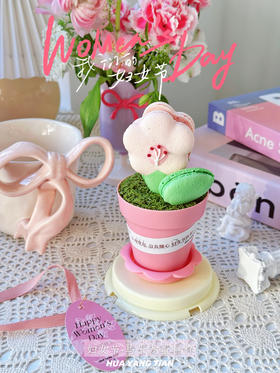 花之语·马卡龙盆栽蛋糕