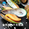 海鲜世家新西兰熟冻原汁全壳青口贝净含量1kg 21-26只/袋原装进口海鲜贝类 商品缩略图6