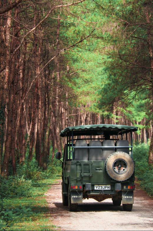 春游套餐！【特惠房券 未约可退】  Club Med 桂林一价全包度假村 商品图2