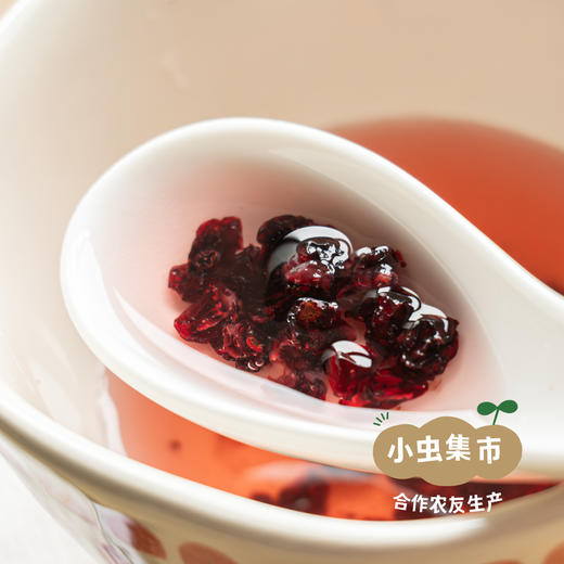 野生蔓越莓干 90g/袋 | 合作农友生产，源自大兴安岭原始森林，生产者：金鹏 ＆【公平贸易农人定价】 商品图2