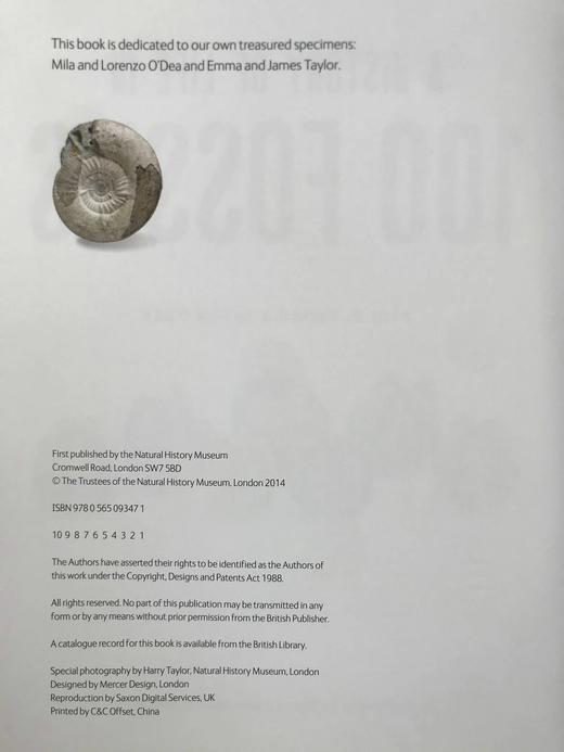 一百块化石中的生命史 百余幅彩色插图 精装16开 商品图4