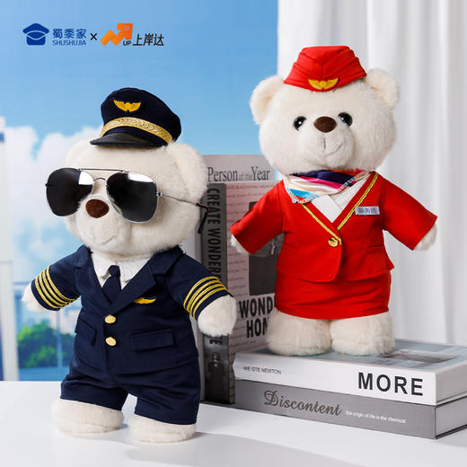 【机长&空姐站姿熊】可定制创意毛绒职业小熊公仔儿童玩具服装可脱送礼礼物 商品图8