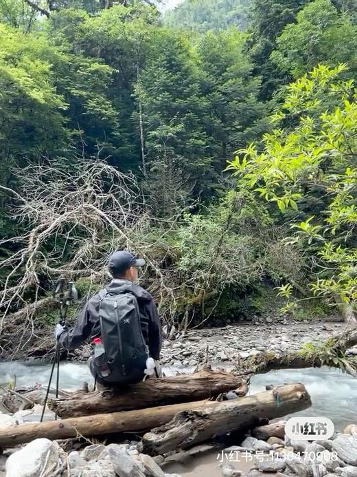 鸟 Arro 22 Backpack金色刺绣双肩背包 Z-15057 商品图5