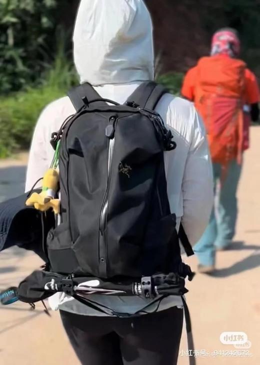 鸟 Arro 22 Backpack金色刺绣双肩背包 Z-15057 商品图3