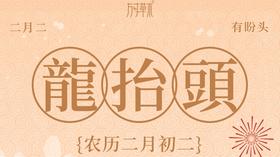 草木传统 | 二月二，龙抬头，有盼头