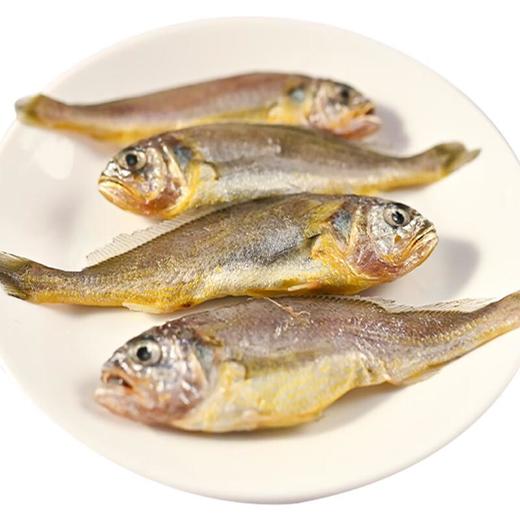 每日伊藤冷冻小黄鱼400g 商品图2