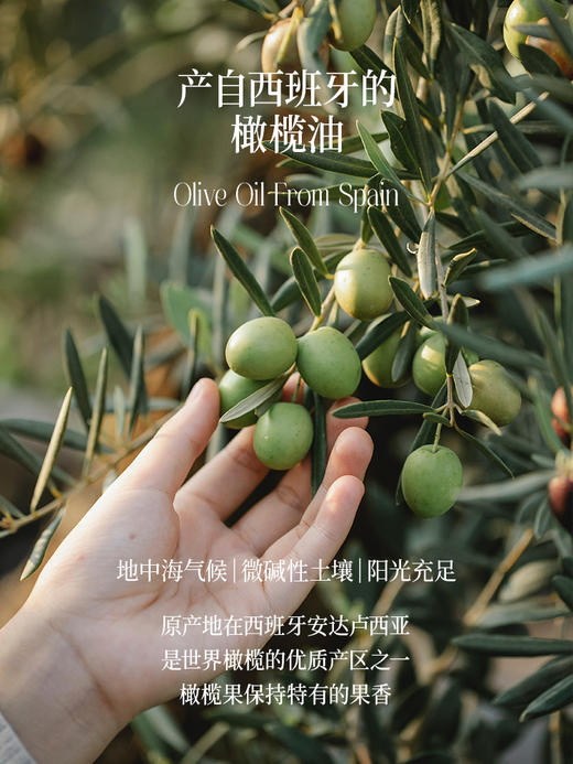 特级初榨橄榄油 500ml*2瓶（酸度≤0.6%，0反式脂肪酸） 商品图4