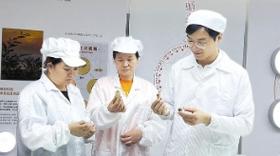 梁子湖畔“新农人” 海归建起科技农场