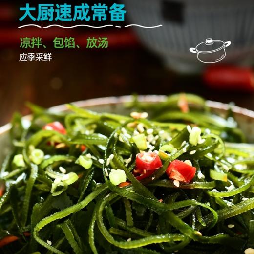 【压缩海带丝】不真空锁鲜（15倍泡发） 商品图0