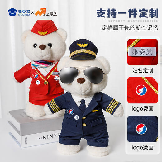 【机长&空姐站姿熊】可定制创意毛绒职业小熊公仔儿童玩具服装可脱送礼礼物 商品图1