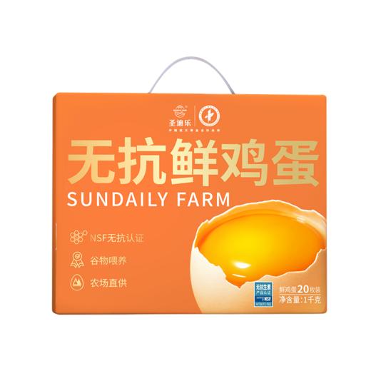 圣迪乐无抗鲜鸡蛋20枚【圣迪乐】JCT 商品图0