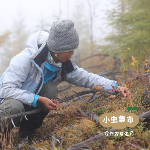 野生蔓越莓干 90g/袋 | 合作农友生产，源自大兴安岭原始森林，生产者：金鹏 ＆【公平贸易农人定价】 商品图14
