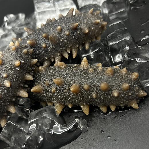 辽海元鲜食海参 单斤4头 参王 商品图3