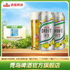 青岛啤酒纯生500ml*18听 商品缩略图0