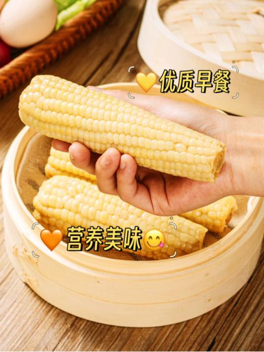 【云南糯小白】新品上市💥甜糯升级，美味爆棚🌽更甜更糯更好吃！好吃到爆炸 ✅西双版纳四季种植新鲜直供🥳人工精选5⃣小时急速锁鲜 商品图5