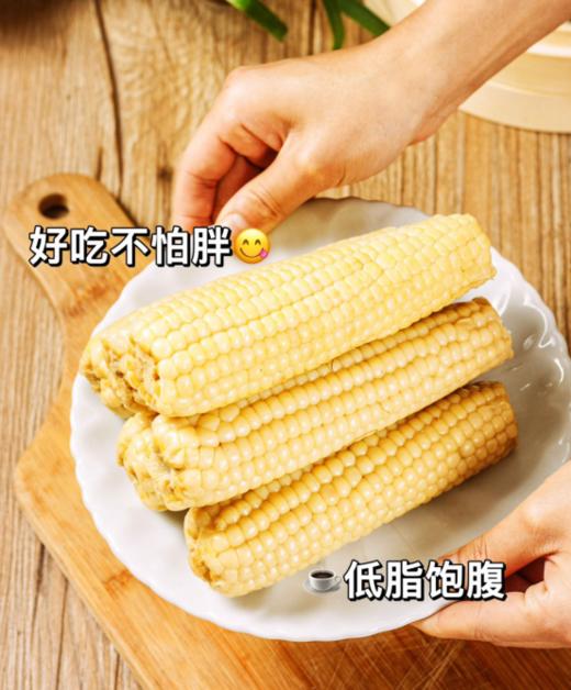 【云南糯小白】新品上市💥甜糯升级，美味爆棚🌽更甜更糯更好吃！好吃到爆炸 ✅西双版纳四季种植新鲜直供🥳人工精选5⃣小时急速锁鲜 商品图6