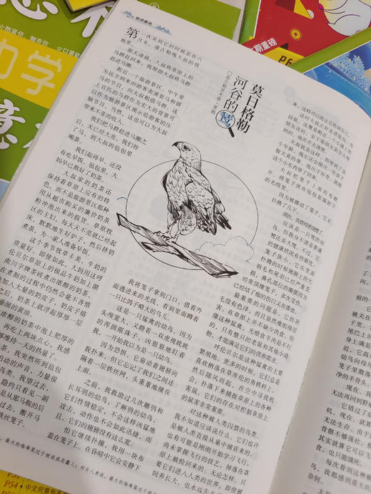 19.8元到手10册随机《意林》过刊，一本不到2块钱，太划算了！ 商品图10