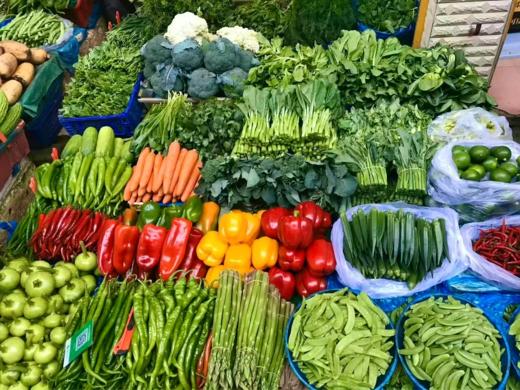 蔬菜批发 各种新鲜蔬菜产地直发 商品图1