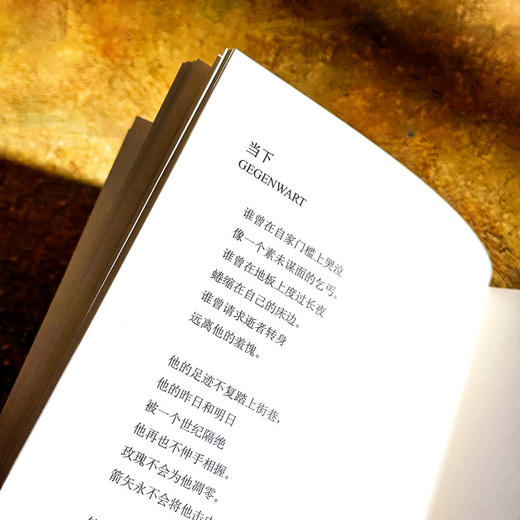 只有一朵玫瑰支撑 希尔德 多敏诗选 20世纪影响深远的德语女诗人 国内首次译介 商品图10