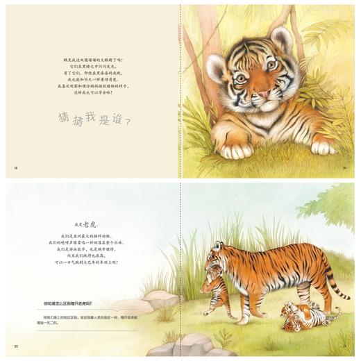 童书《你好！动物宝宝》（共6册）-分销 商品图5