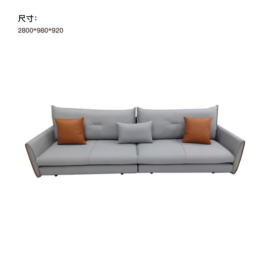 中派-沙发-868# 商品图1