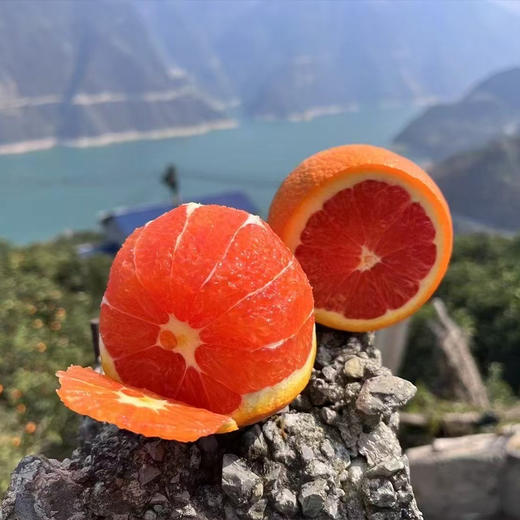 新鲜水果 果肉红润 中华红血橙  3斤装/5斤装 【5斤十堰主城区包邮】 商品图4
