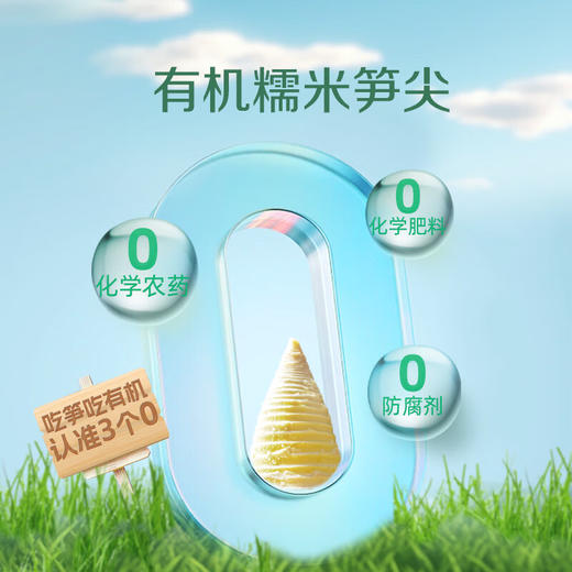 【分仓直发包邮】极野有机糯米笋尖（麻笋）250g*5袋 商品图1