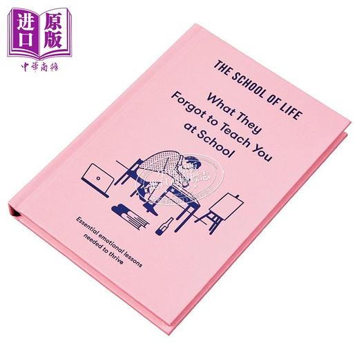 【中商原版】学校忘记教你的事 成长所需的基本情感课程 英文原版 What They Forgot to Teach You The School of Life 商品图1