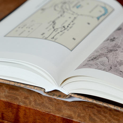 《孤勇：左宗棠新传》 “抬棺西征”的孤勇者，左宗棠是怎样炼成的？深度解读左宗棠的生平、家庭与波澜壮阔的事业。 商品图7