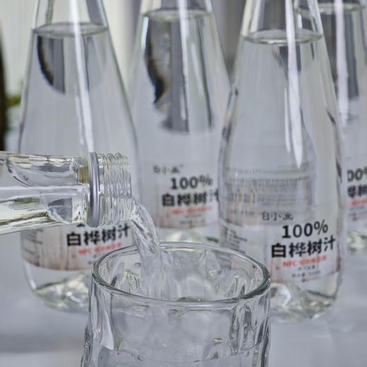 【东北特产】忠芝旗下白小画白桦树汁 310ml*6瓶/箱 小兴安岭桦树原液 植物饮料 大自然的馈赠 商品图2