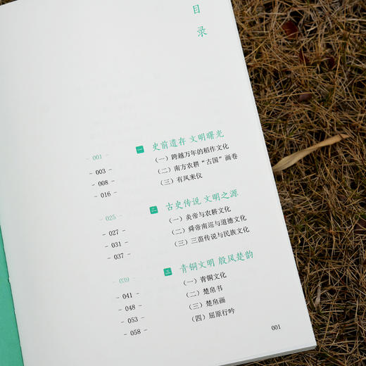 湖湘文化极简史 商品图3