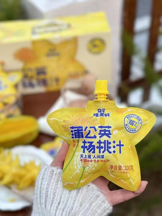 蒲公英杨桃汁一箱 商品图2