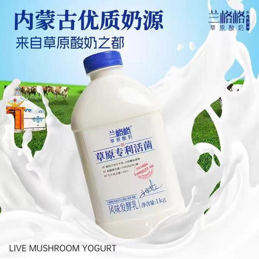 【9.9元/桶】兰格格草原专利活菌酸奶1kg（0400901） 商品图0