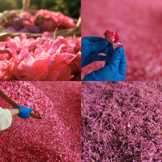 【下单即赠价值36元小罐红颜茶*1盒】素妙娘 有机玫瑰红颜茶 玫瑰花茶 30g/盒【5g*6罐】 商品图4