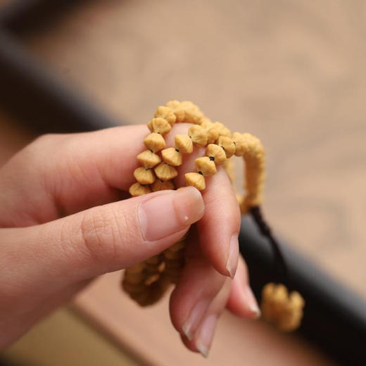 九华山金钱子系列 商品图10