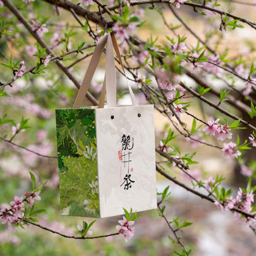 山里春天【龙井 单罐+杯】26元一套/一件24套 商品图6