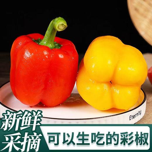 【山东好物】红黄双拼水果椒 3斤/4.5斤 京东直达 商品图1