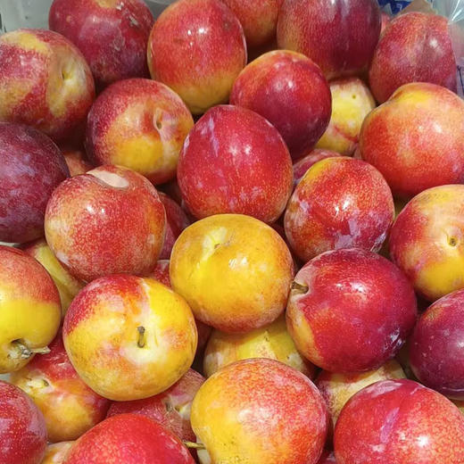 进口珠宝李 约500g/份 商品图0