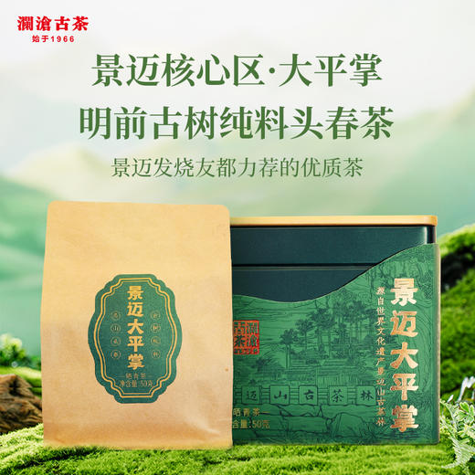澜沧古茶2024年景迈大平掌明前古树纯料头春散茶50g 商品图1