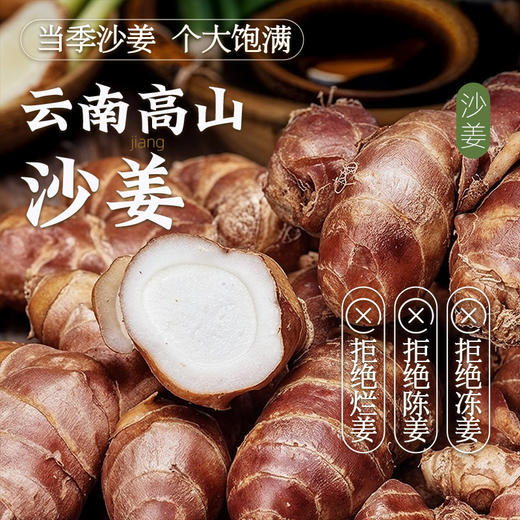 沙姜酱调味酱沙姜猪手沙姜白切鸡沙姜八爪鱼蘸料抖音同款广东风味 商品图1