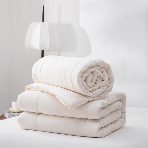 春秋被/冬被/子母被【会员专享】多喜爱 甄芯暖意大豆春秋被/冬被/子母被【大豆纤维】【蓬松饱满】【磨绒面料】【抑菌呵护】 商品图0